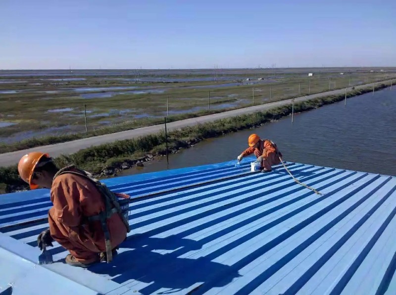 陕州彩钢瓦屋面防腐翻新